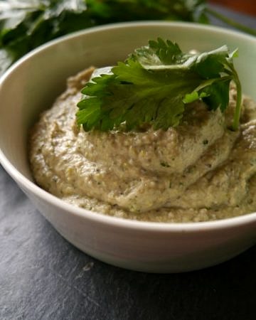 Creamy Eggplant Zucchini Dip - dairy free and gluten free, vegan friendly and full of flavour! A healthy recipe via nourisheveryday.com