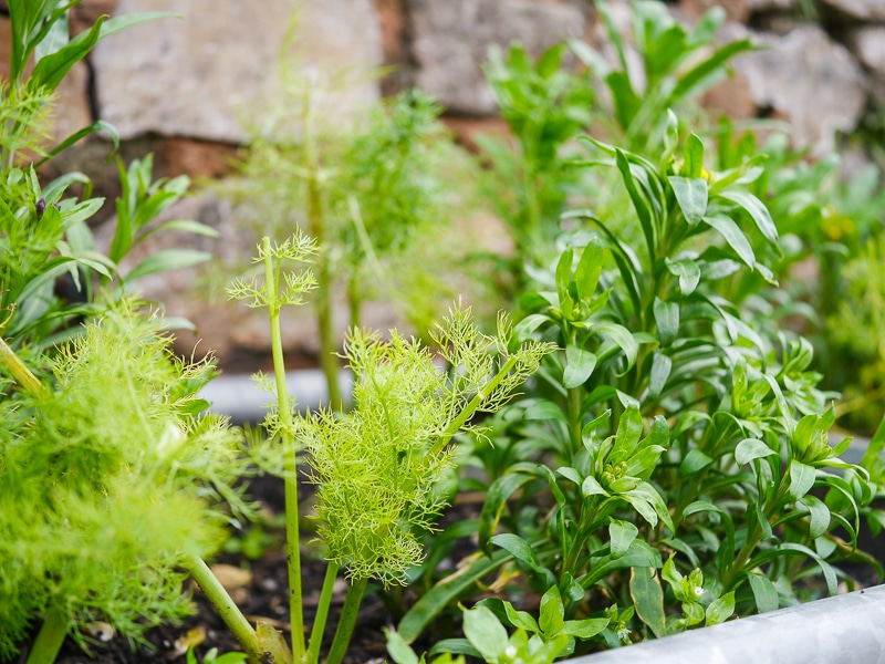 On the Blog: a review of River Cottage Cookery School - Part 2, Meat and Veg. Via nourisheveryday.com