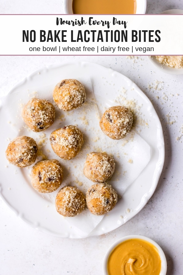 No bake Lactation Bites by Nourish Every Day